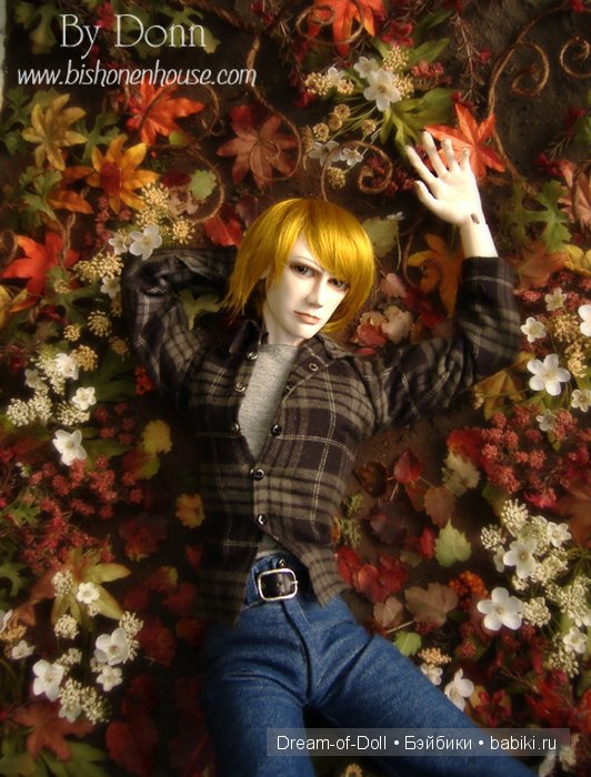 Шарнирные красавцы от Донна Кенни