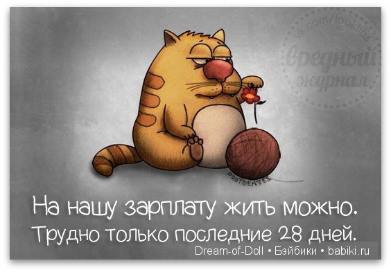 Смех да и только — Интересное и необычное: фотоподборки