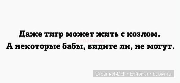 Смех да и только — Интересное и необычное: фотоподборки (фото 6)