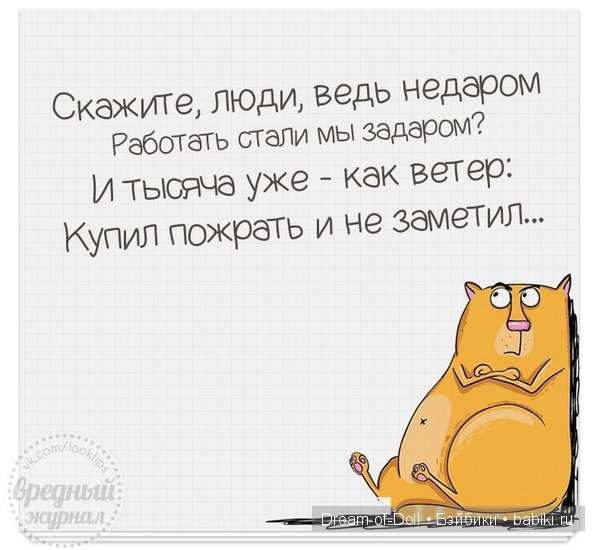 Смех да и только — Интересное и необычное: фотоподборки