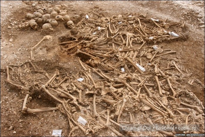 археологические находки