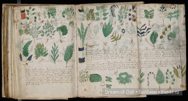 археологические находки