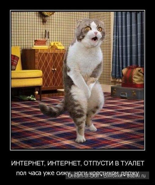 Смех продлевает жизнь — Интересное и необычное: фотоподборки (фото 3)