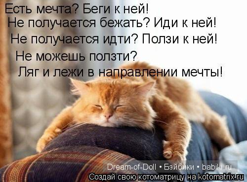 Смех продлевает жизнь — Интересное и необычное: фотоподборки