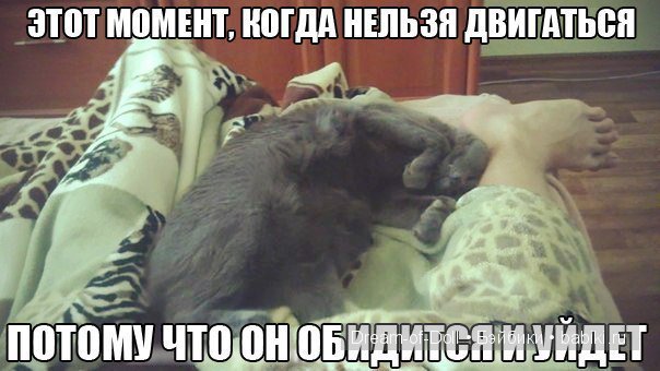 Смех продлевает жизнь — Интересное и необычное: фотоподборки