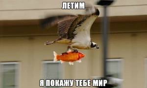 Смех продлевает жизнь — Интересное и необычное: фотоподборки (фото 10)