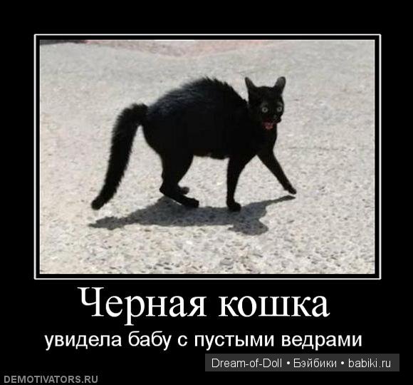 Смехотерапия — Интересное и необычное: фотоподборки (фото 2)