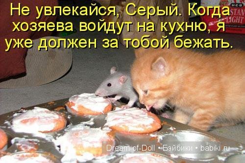 Смехотерапия — Интересное и необычное: фотоподборки