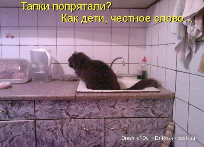Смехотерапия — Интересное и необычное: фотоподборки