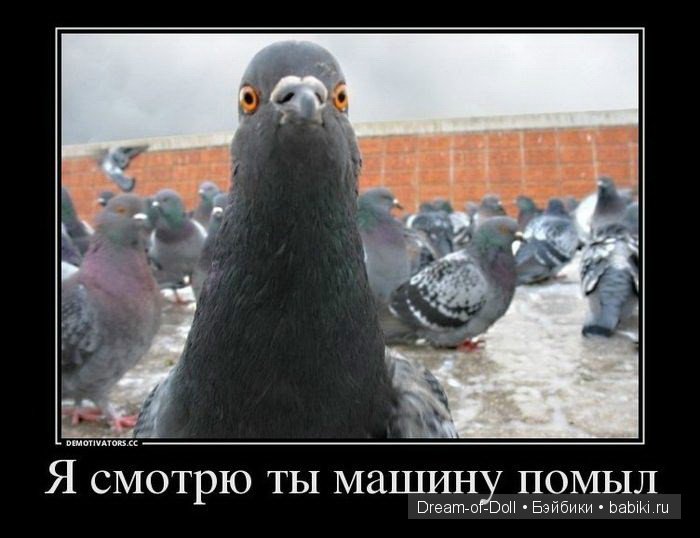 Смехотерапия — Интересное и необычное: фотоподборки