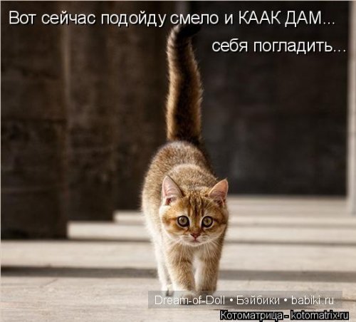 Смехотерапия — Интересное и необычное: фотоподборки