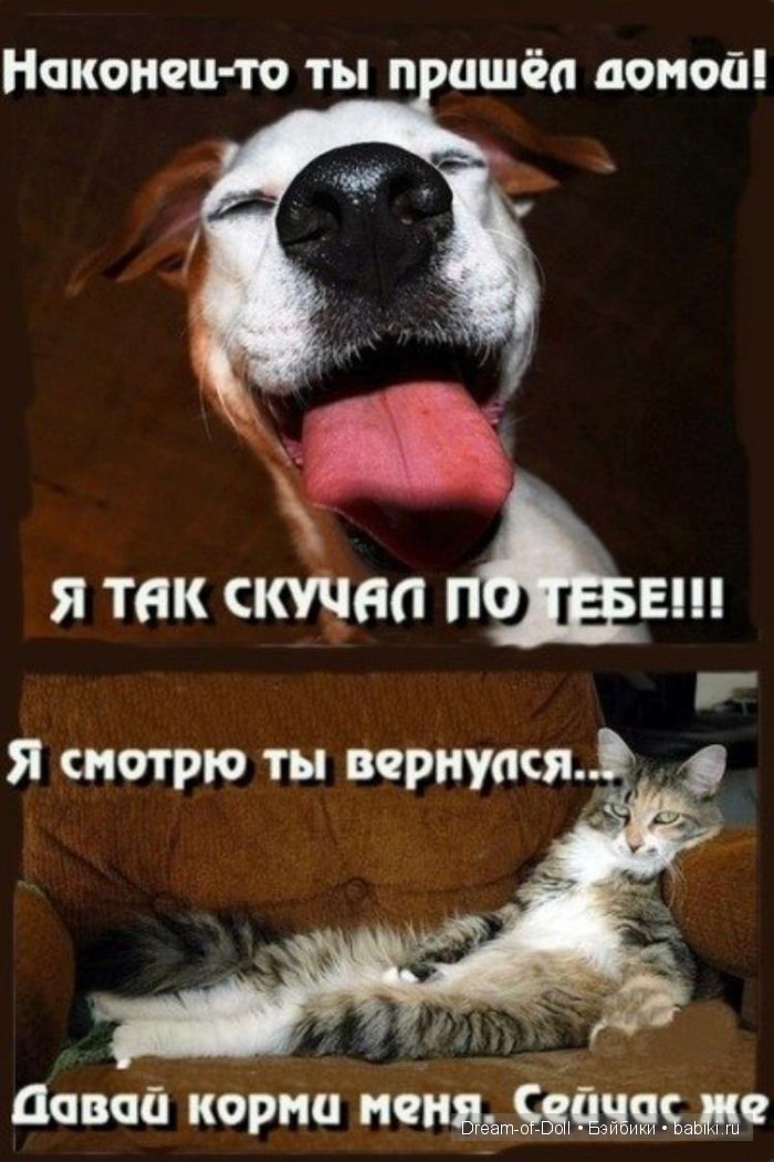 Смехотерапия — Интересное и необычное: фотоподборки
