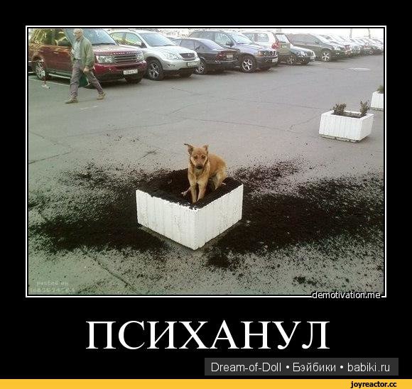 Смехотерапия — Интересное и необычное: фотоподборки