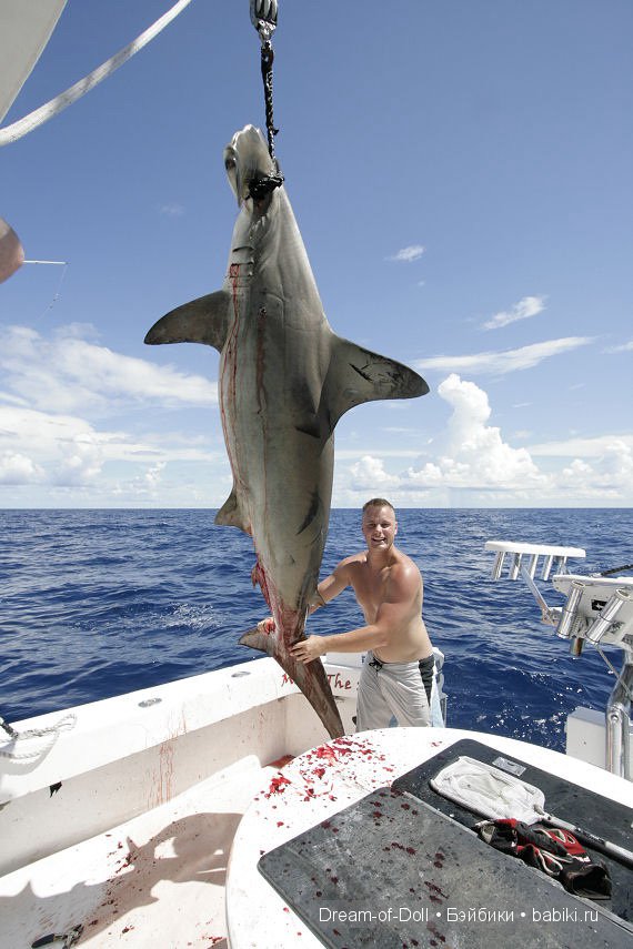 Невероятно, но факт | Бэйбики Невероятно, но факт — Интересное и необычное: фотоподборки