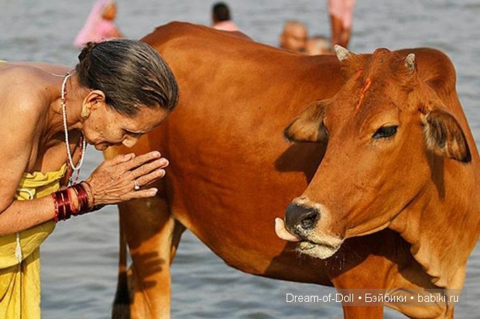 Невероятно, но факт | Бэйбики Невероятно, но факт — Интересное и необычное: фотоподборки (фото 7)