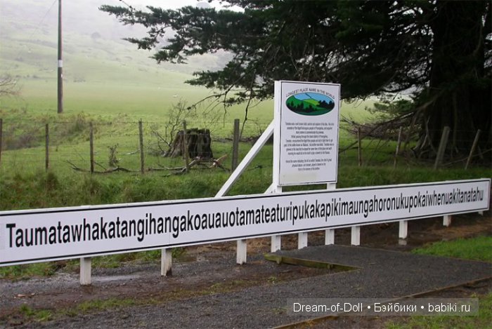 Невероятно, но факт | Бэйбики Невероятно, но факт — Интересное и необычное: фотоподборки (фото 6)