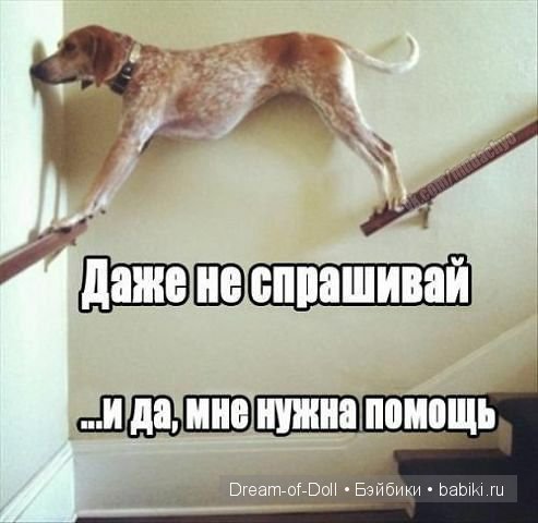На волне позитива — Интересное и необычное: фотоподборки