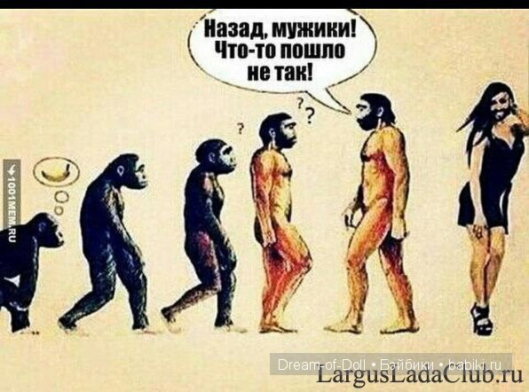 На волне позитива — Интересное и необычное: фотоподборки