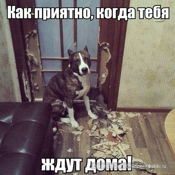 На волне позитива — Интересное и необычное: фотоподборки