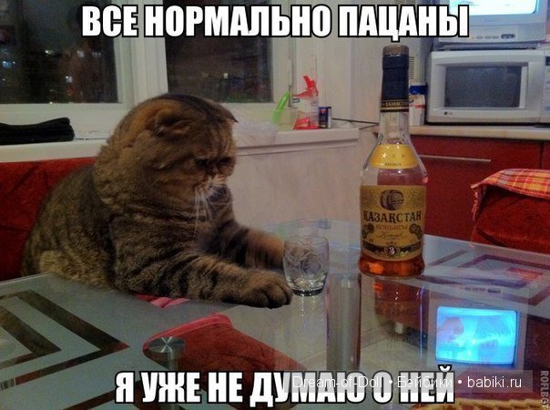 На волне позитива — Интересное и необычное: фотоподборки