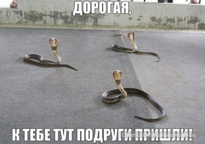 На волне позитива — Интересное и необычное: фотоподборки (фото 5)