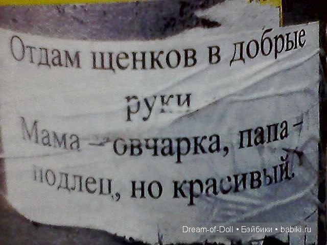 На волне позитива — Интересное и необычное: фотоподборки