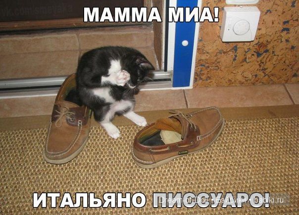 На волне позитива — Интересное и необычное: фотоподборки