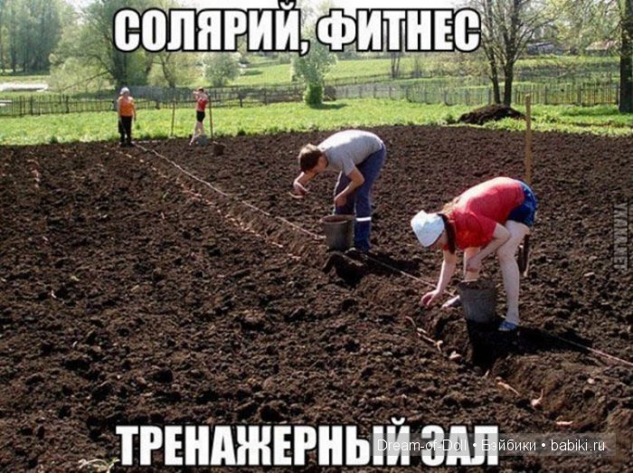 Шесть соток — Интересное и необычное: фотоподборки