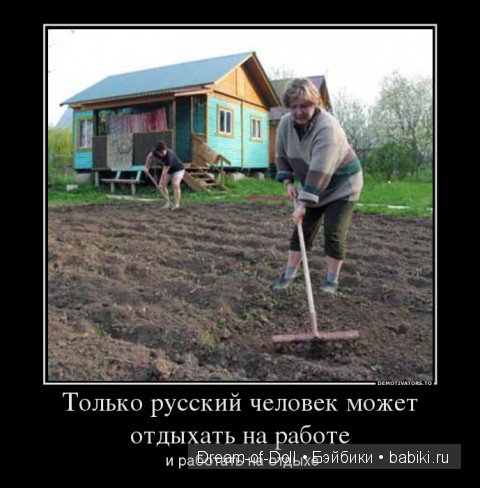 Шесть соток — Интересное и необычное: фотоподборки