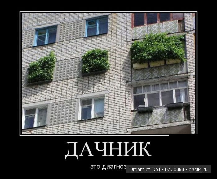 Шесть соток — Интересное и необычное: фотоподборки