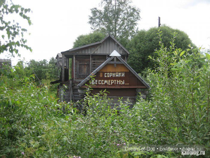Шесть соток — Интересное и необычное: фотоподборки
