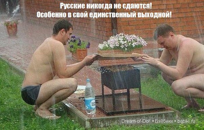 Шесть соток — Интересное и необычное: фотоподборки