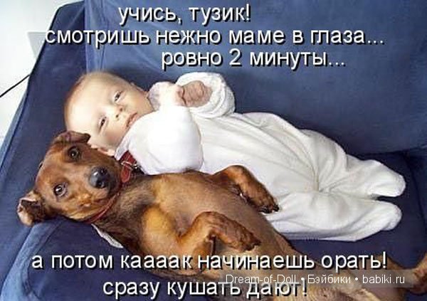 Отцы и дети — Интересное и необычное: фотоподборки
