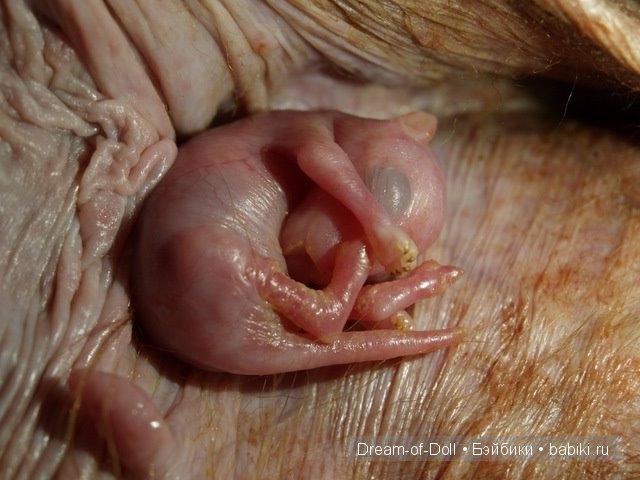 Хочу все знать — Интересное и необычное: фотоподборки