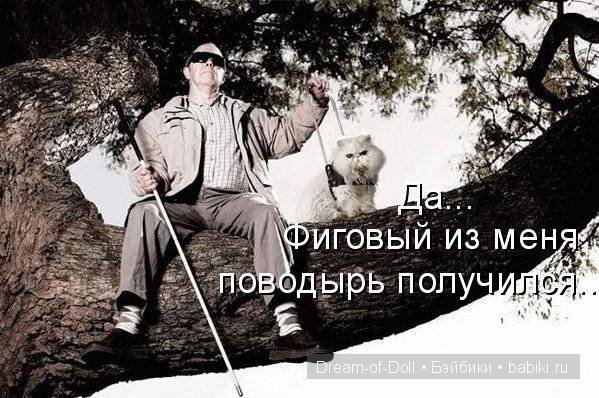 Веселая пятница: кошки против собак