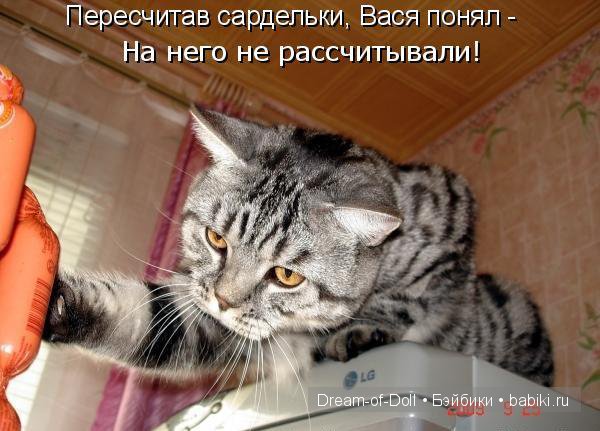 Веселая пятница: кошки против собак