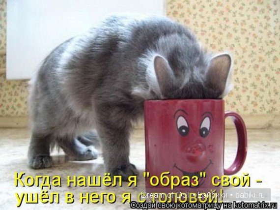 Веселая пятница: кошки против собак
