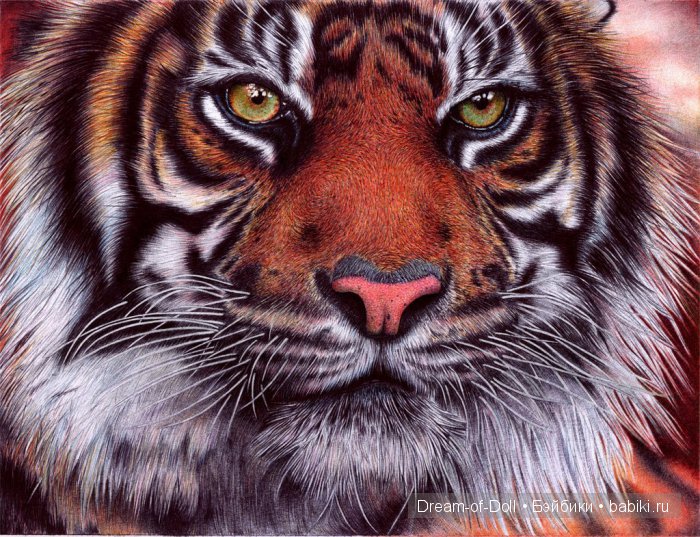 Художники от Бога: Гиперреалистичные картины