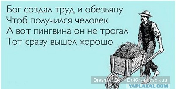 Ура! Пятница — Интересное и необычное: фотоподборки (фото 9)