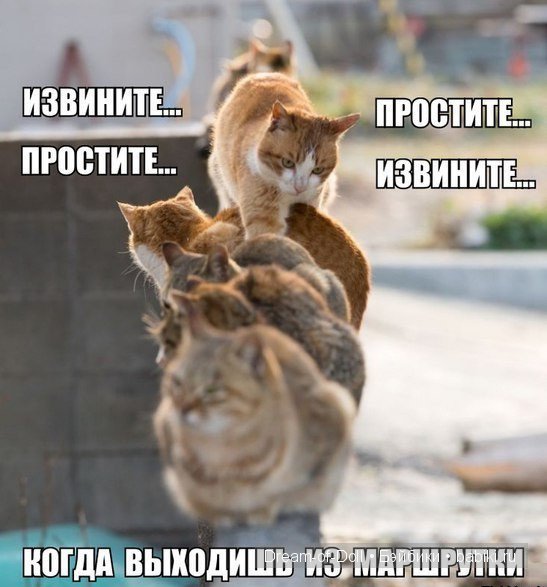 Ура! Пятница — Интересное и необычное: фотоподборки