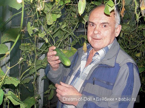 Обо всем по не многу — Интересное и необычное: фотоподборки
