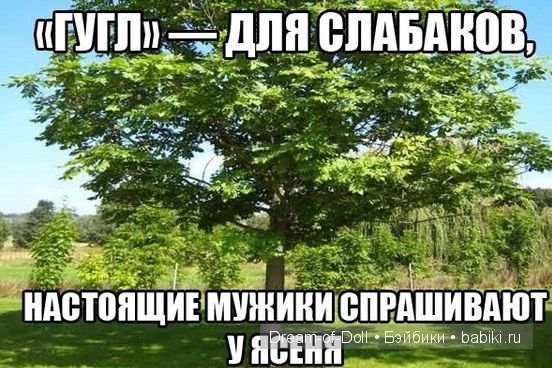 Ура! Пятница — Интересное и необычное: фотоподборки