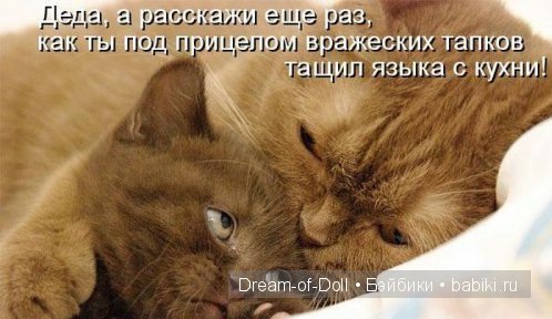 Ура! Пятница — Интересное и необычное: фотоподборки