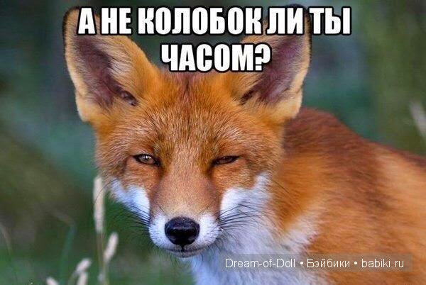Ура! Пятница — Интересное и необычное: фотоподборки (фото 3)