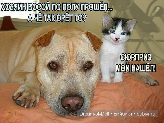Ура! Пятница — Интересное и необычное: фотоподборки