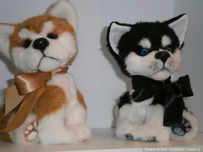 Hello Teddy! 2016... Это просто праздник! Фотообзор