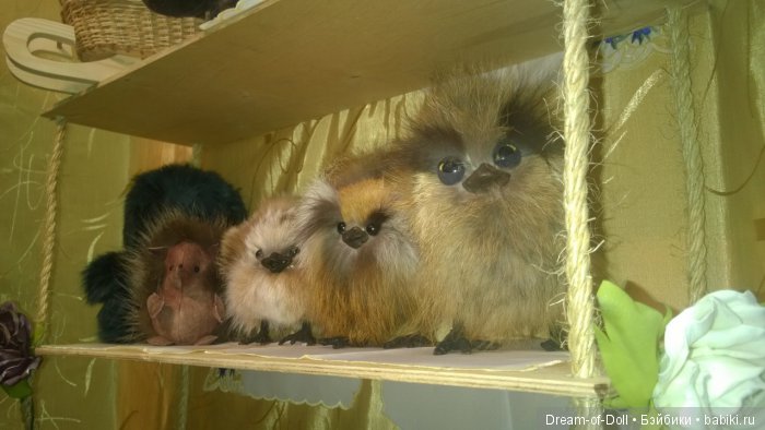 Hello Teddy! 2016... Это просто праздник! Фотообзор