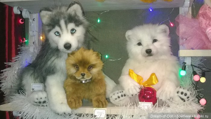 Hello Teddy! 2016... Это просто праздник! Фотообзор