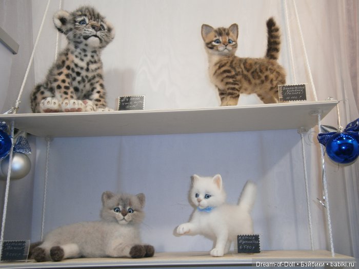 Hello Teddy! 2016... Это просто праздник! Фотообзор