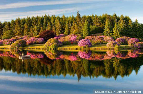 Отражения — Интересное и необычное: фотоподборки